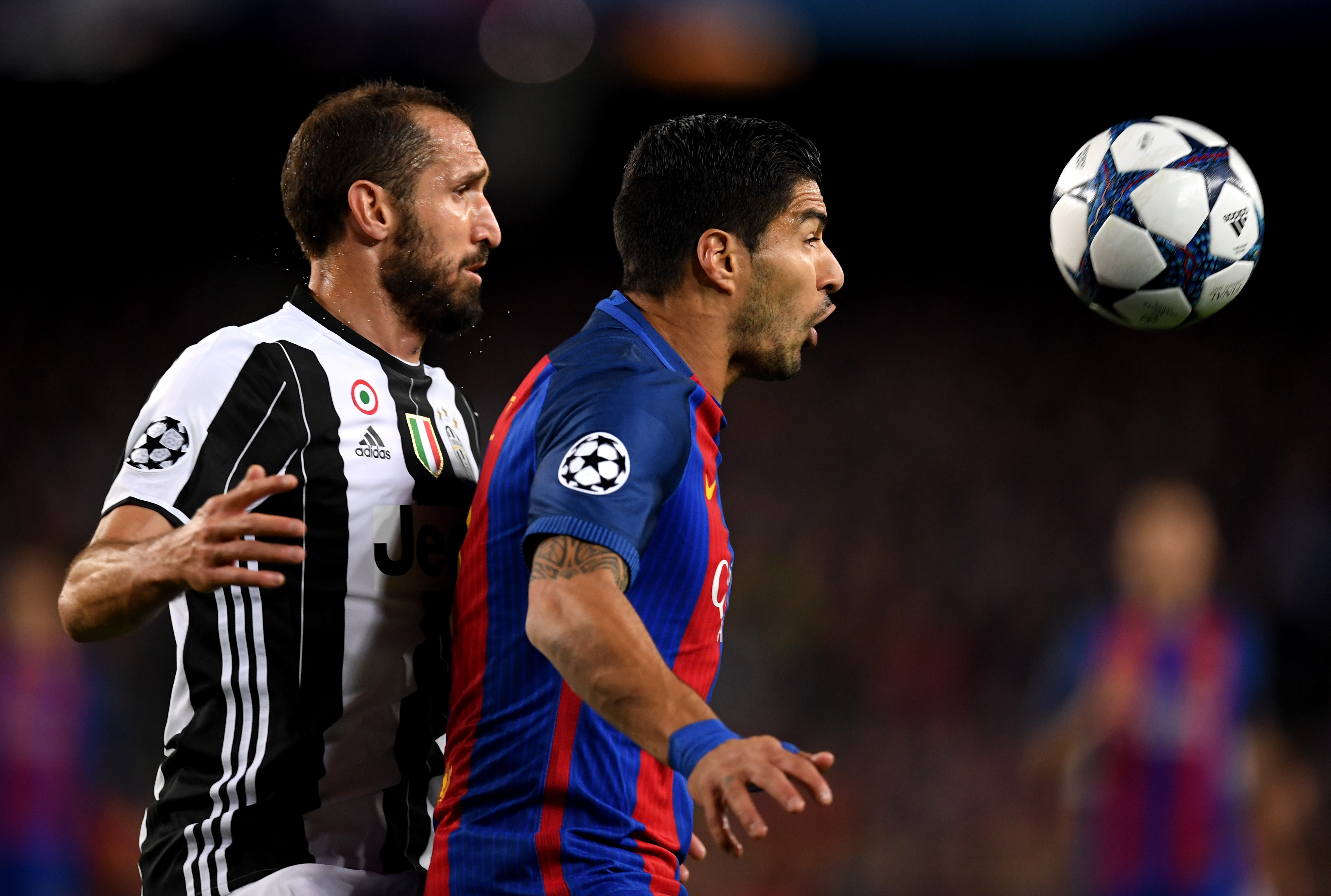 Suarez-Chiellini